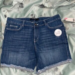 Cato Women's Blue Denim Shorts